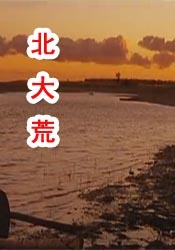 丛林里的生活